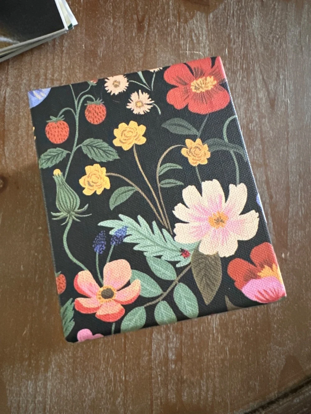 RIFLE PAPER Strawberry Fields Divided Pencil Cup